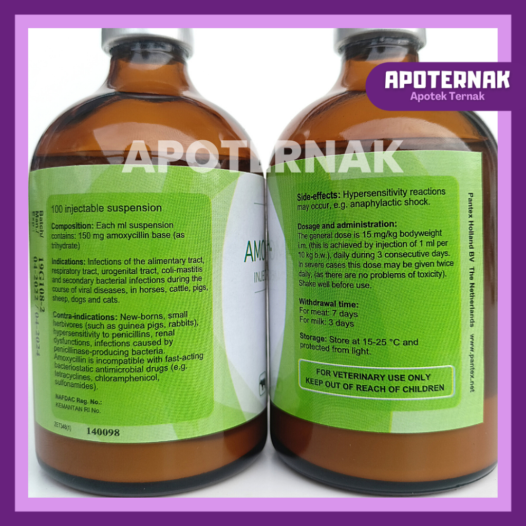 PANTEX AMOXY 150 LA | Obat Infeksi Hewan Long Acting | Like SK Amox LA Longamox Betamox Intramox | Pantex Holland | Apoternak