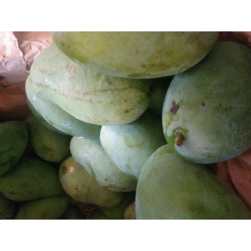 

MANGGA HARUMANIS (1KG)