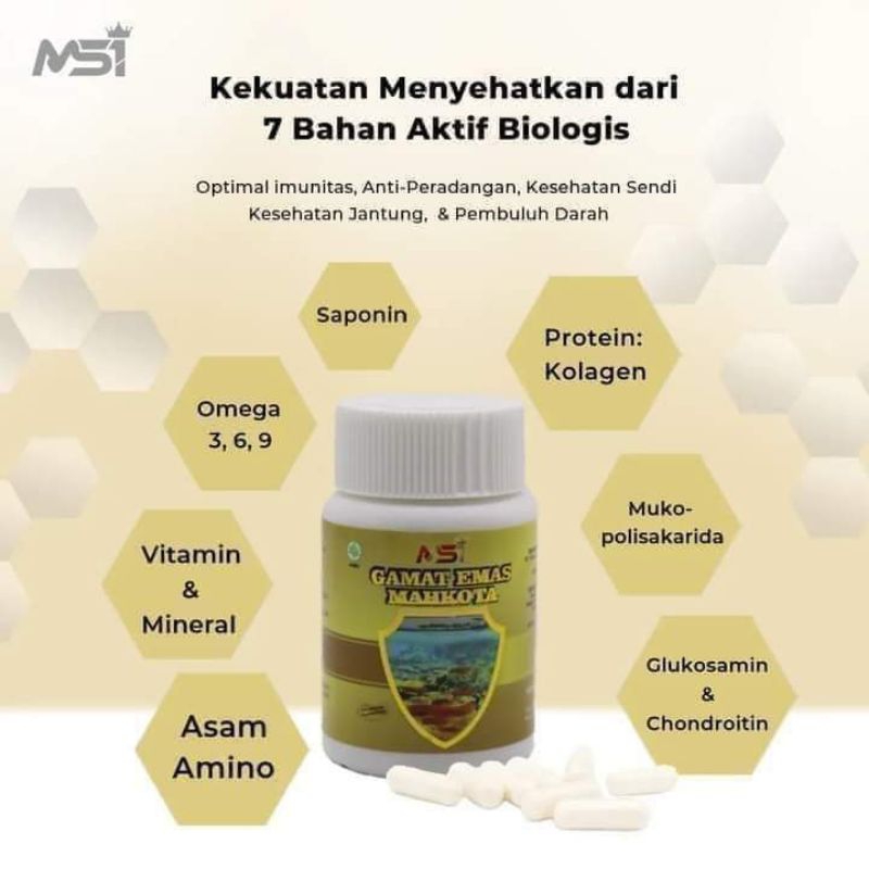 Gamat  Msi 100% original  (isi 50 kapsul )