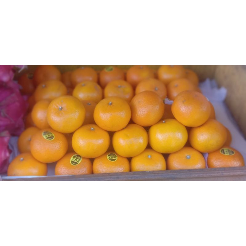 

JERUK WOKAM / ORANGE WOKAM