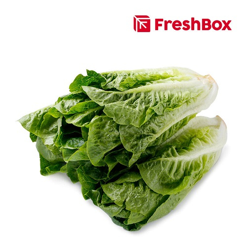 

Romaine Lettuce 250gr Freshbox