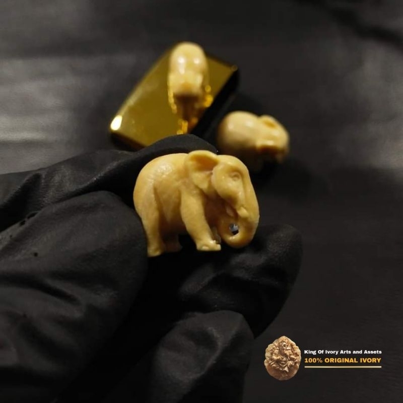 Patung Miniatur Gajah Ukir Gading Asli | Gg new