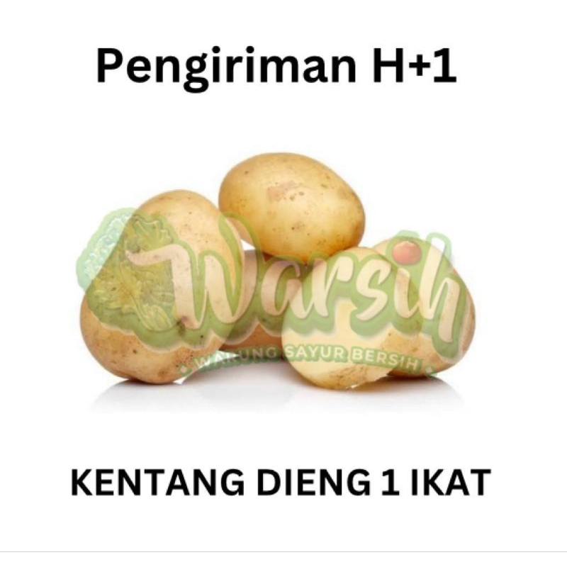 

WARSIH • KENTANG DIENG 500 GR (bisa foodprep)