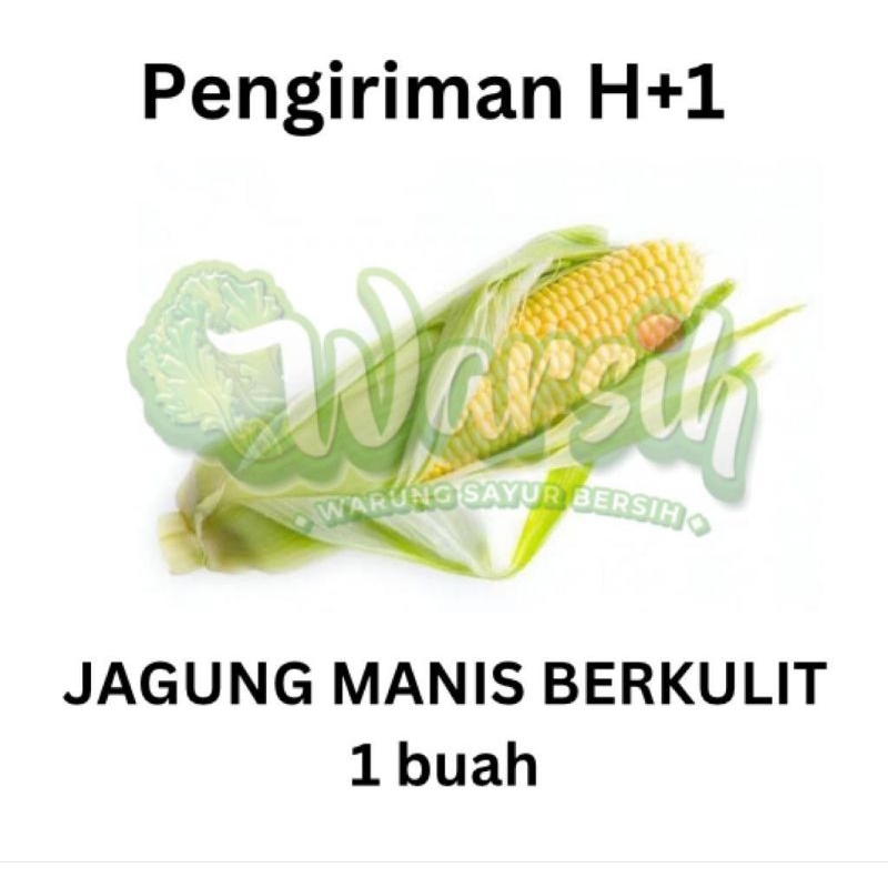 

WARSIH • JAGUNG MANIS 1 BUAH