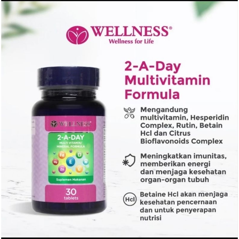 WELLNESS 2 A DAY 30 multi vitamin multi mineral