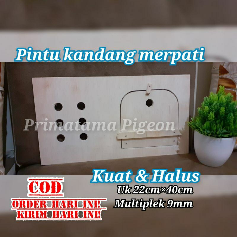 Pintu kandang merpati / semi macan uk 22cm×40cm