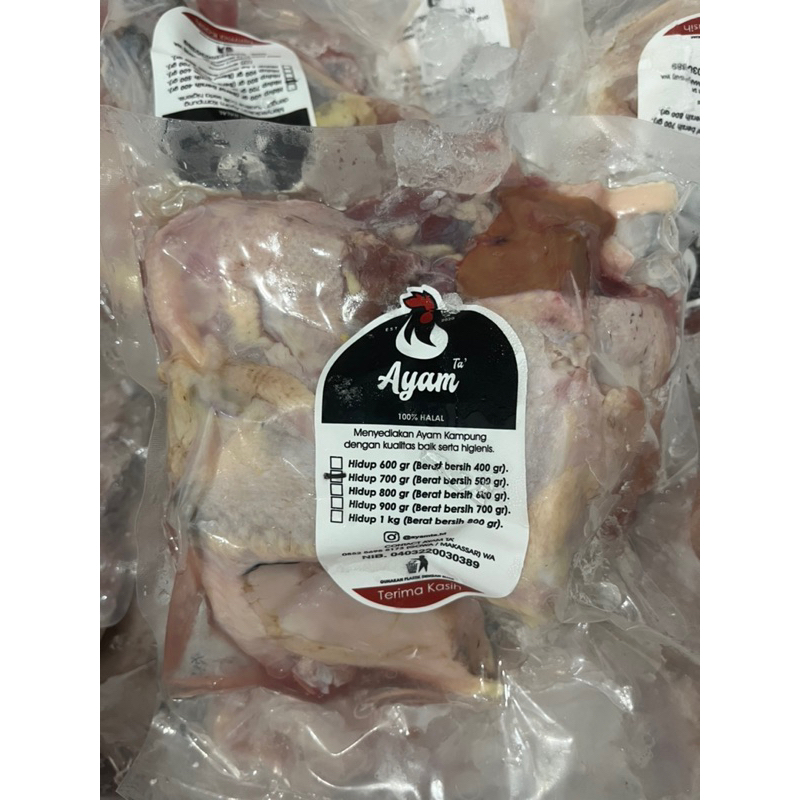 

Ayamta’ Ayam Kampung Frozen Berat bersih 500Gr (Berat hidup 700Gr)