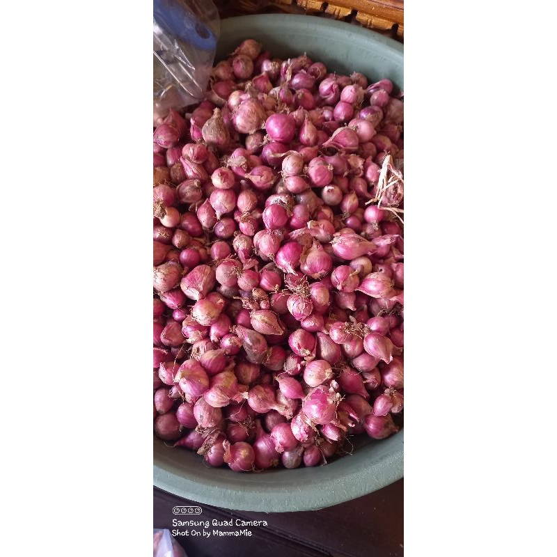 

Bawang Merah