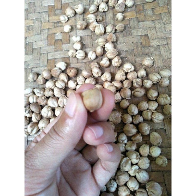 

Kapulaga kering promo gratis ongkir 1 biji/50gr/kapulaga bersih kwalitas terbaik/cucian air/rempah rempah kwalitas terbaik