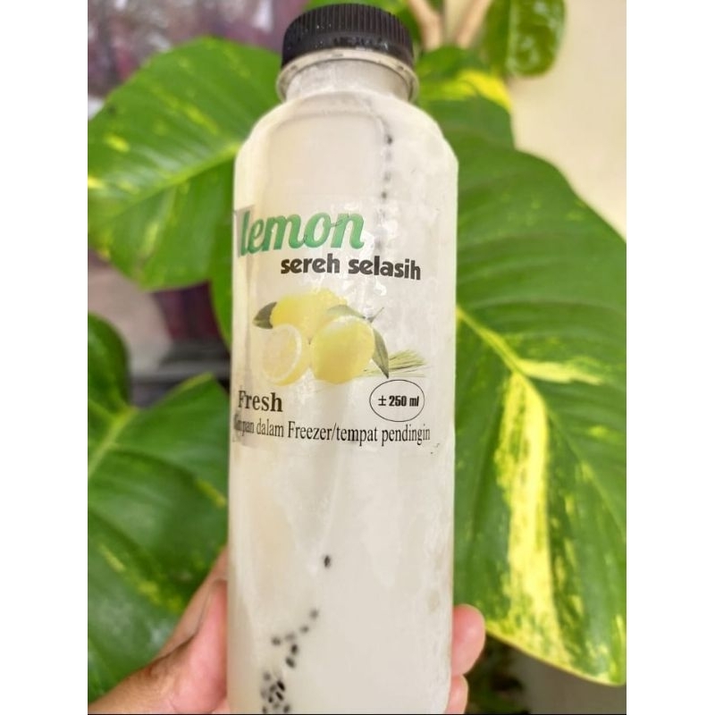 

Minuman Lemon Sereh Selasih uk 250ml