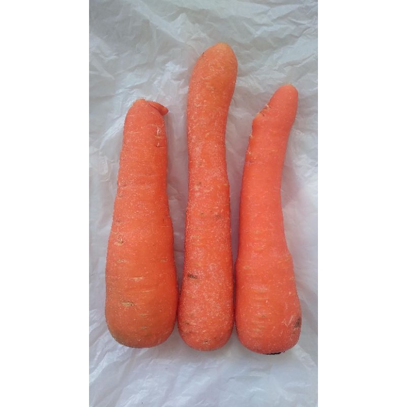 

Wortel Brastagi 500 Gram