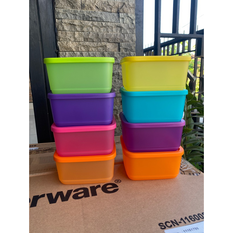 SMALL SUMMER TUPPERWARE 650ML