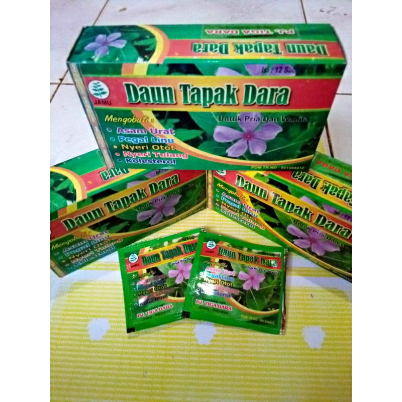 

daun tapak dara asam urat pegal linu original