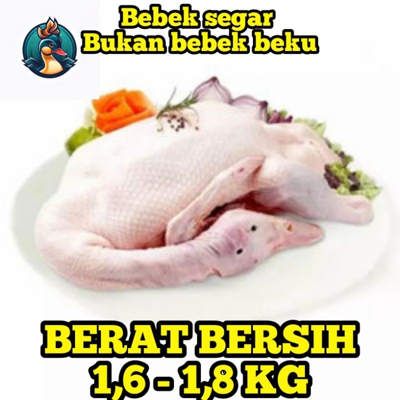 

BEBEK HIBRIDA FRESH POTONG / KARKAS JUMBO