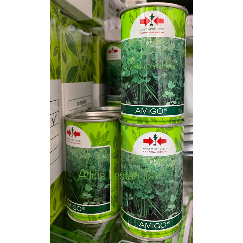 Benih Seledri Amigo 50 Gram - Cap Panah Merah