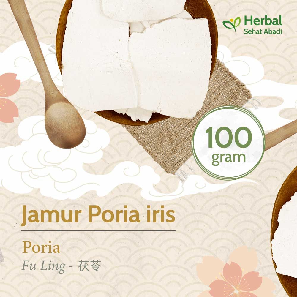 

Fu Ling 100 gram (茯苓) / Fuling / Poria