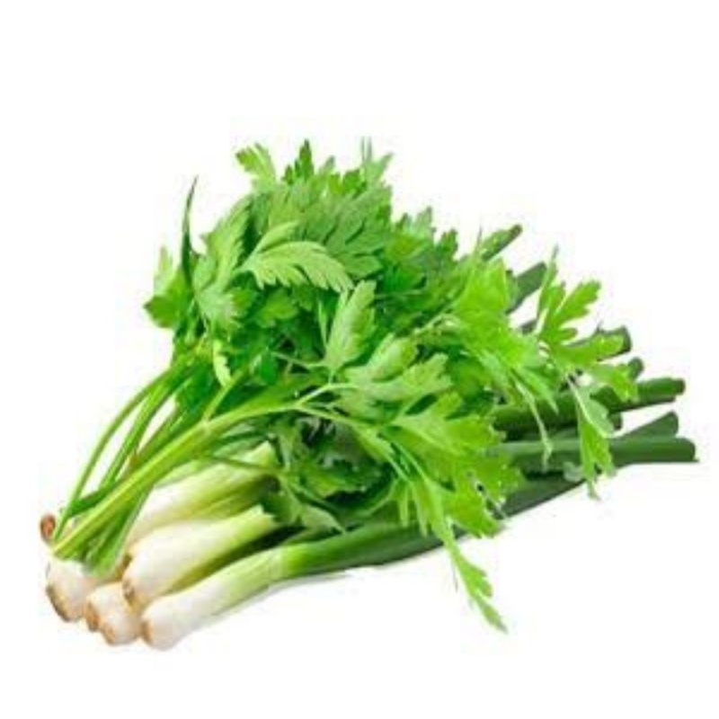 

daun bawang saledri 200 gram