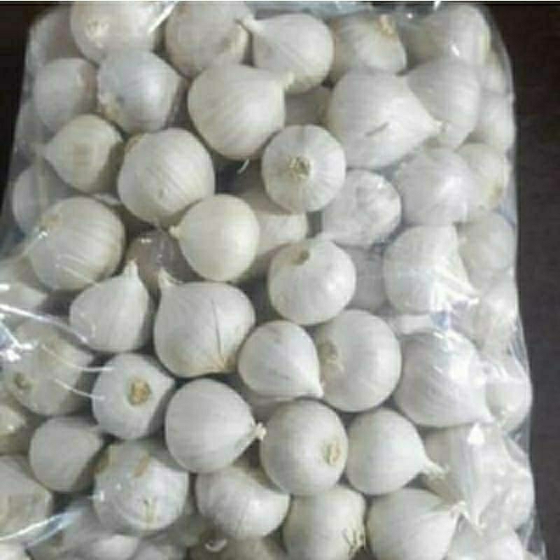 

bawang tunggal import super 1kg/super putih free kardus packing baru