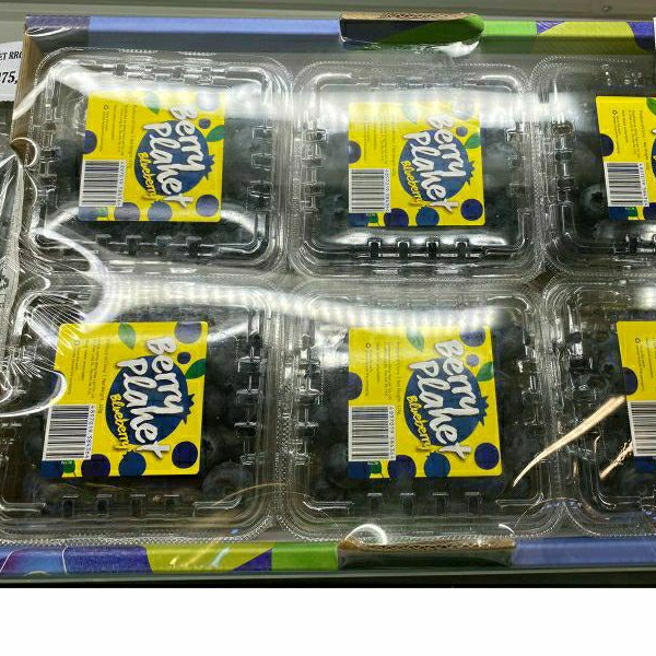 

Blueberry jumbo blueberries Berry import 12 pack X 125 grm | Dus