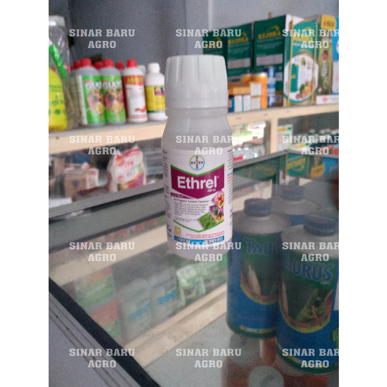 ETHREL 480 SL 100 ML ZPT PEMATANG BUAH / ETHREL 100ML PEMATANG BUAH NAGA PISANG PEPAYA