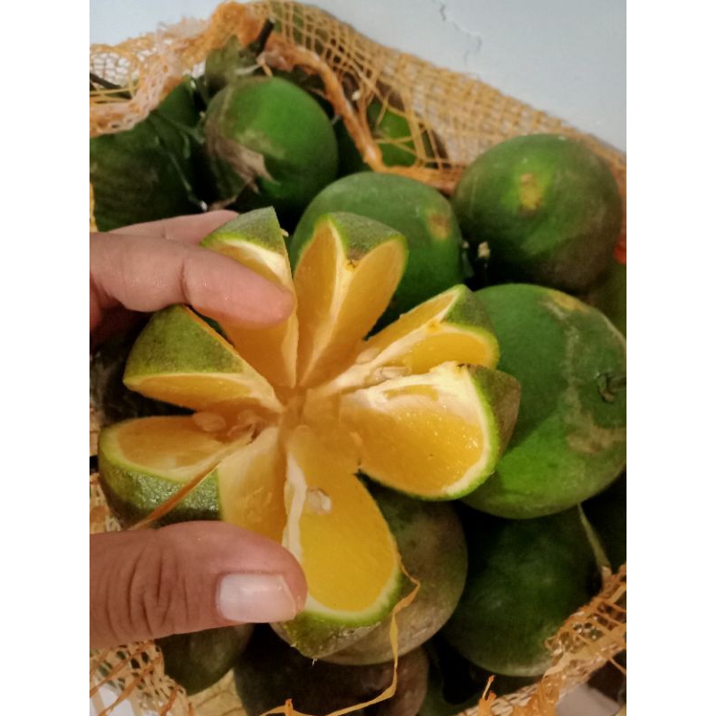 

Buah Jeruk Baby Java Malang/jeruk iris 1kg