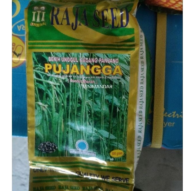 BIBIT KACANG PANJANG PUJANGGA ISI 500 GR RAJA SEED BENIH KACANG PANJANG