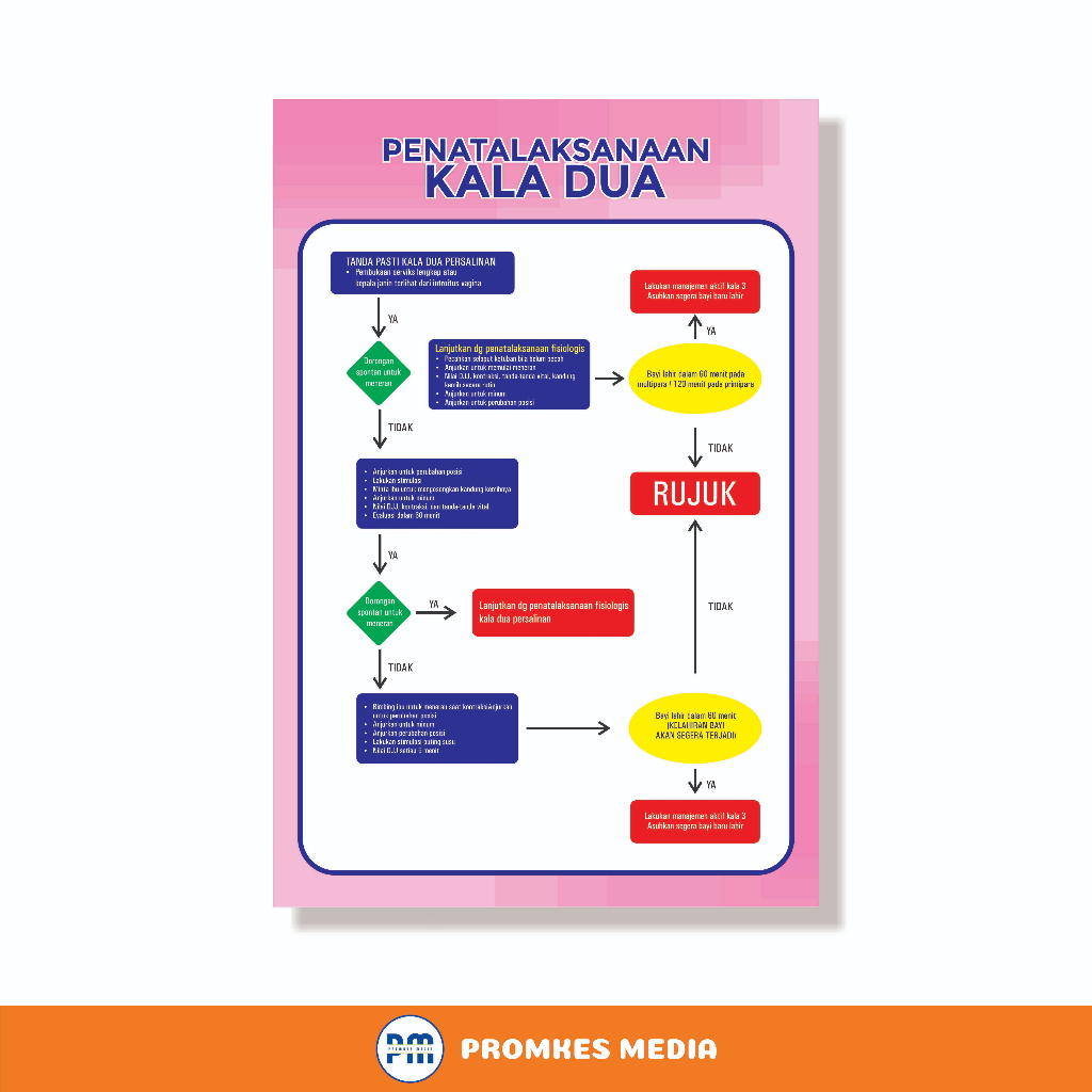 Poster Kesehatan, Poster Penatalaksaan Kala 2, Poster Kebidanan