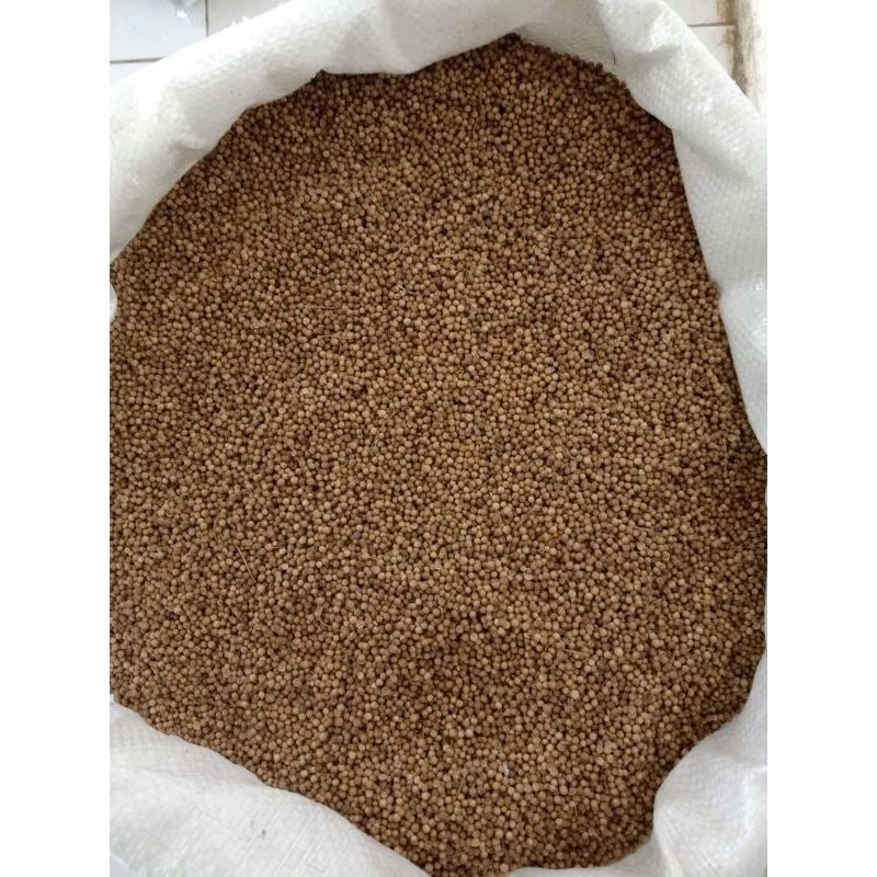 

Ketumbar Hitam Murni Premium 1 kg wangi Asli / Black Coriander Pack 1000 Gram