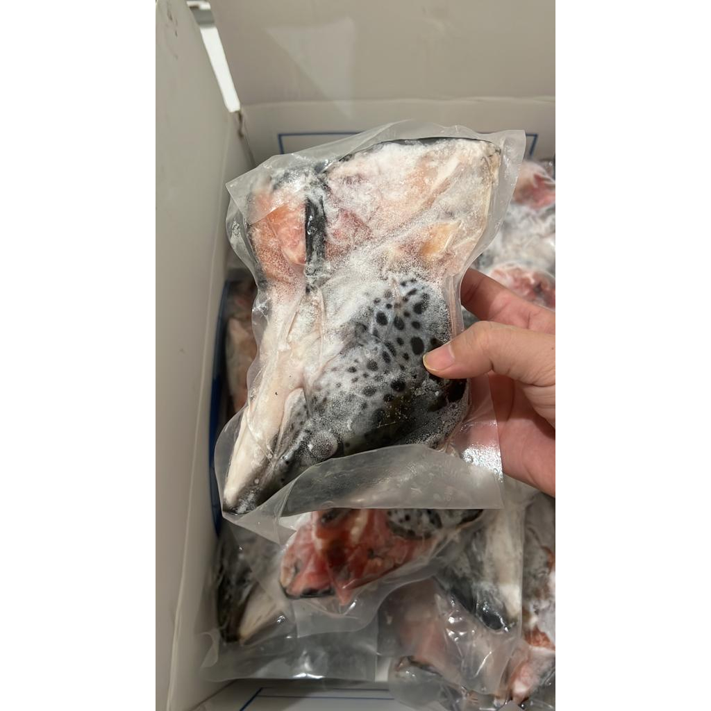 IKAN SALMON (KEPALA) / SALMON HEAD FROZEN NORWEGIAN