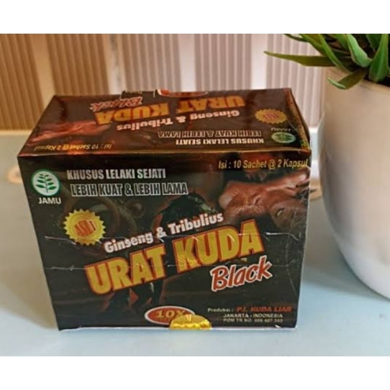 Urat kuda Black 100% Original Stamina pria dewasa