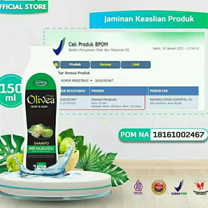 Shampo mengkudu olivea zaitun bermanfaat untuk menyuburkan dan menyehatkan rambut