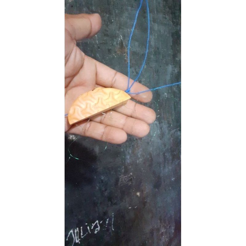 jaring ikan siap pakai