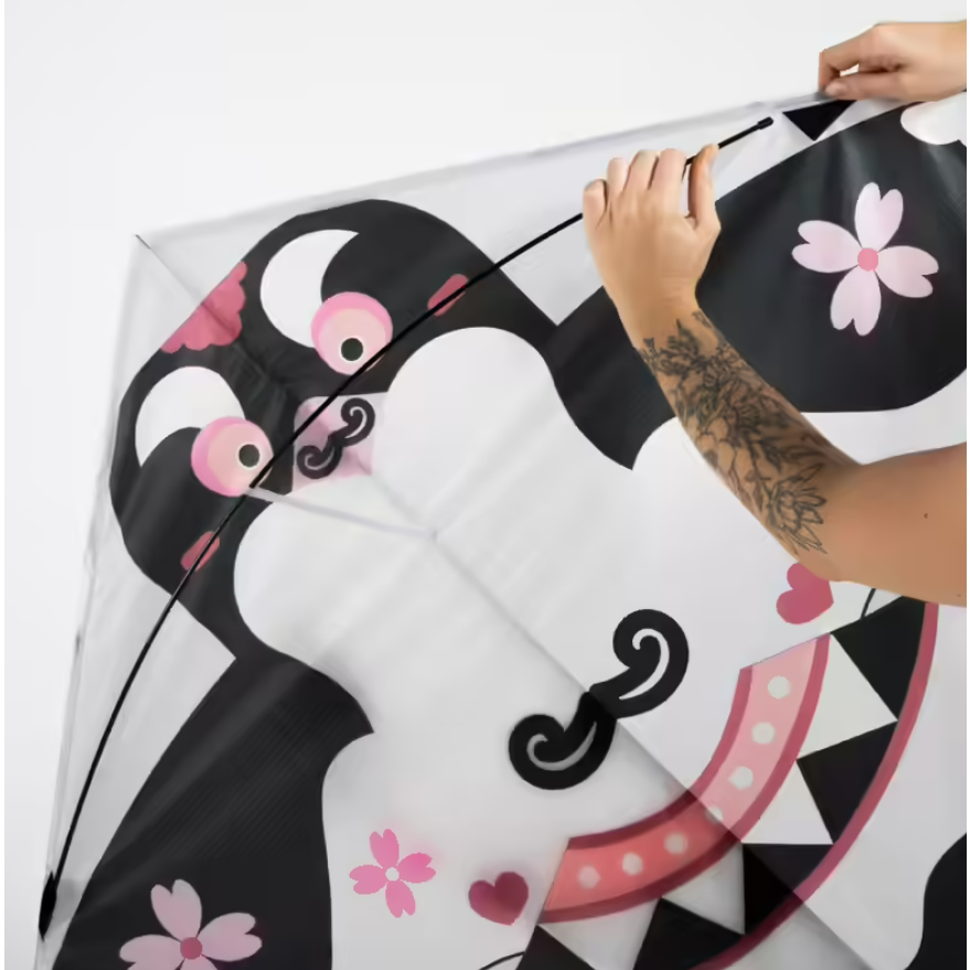 ORAO Cnk 120 Layang-layang Bermotif Olahraga Outdoor Ukuran L