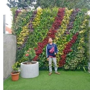 tukang buat taman vertikal garden /meter