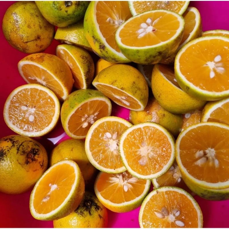 

Jeruk Peras Pontianak 1kg