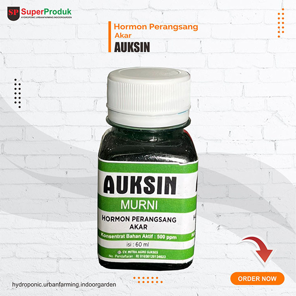 Hormon ZPT Auksin 60ml