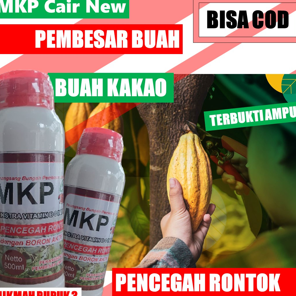 Pupuk Cair MKP CAIR NEW Perangsang Akar Daun dan Tunas Kakao Lebat Paling Bagus – Pupuk MKP Cair Per