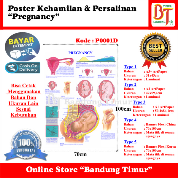 POSTER KEHAMILAN DAN PERSALINAN PREGNANCY JunDW
