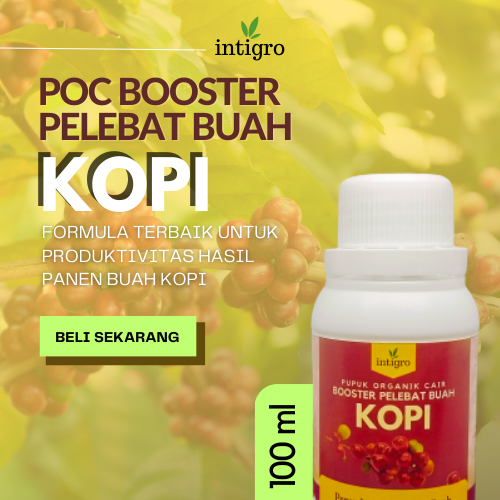 Pupuk Kopi Buah Lebat Pupuk Pelebat Buah Kopi Booster Kopi Pupuk Organik Pelebat Booster Kopi Perang