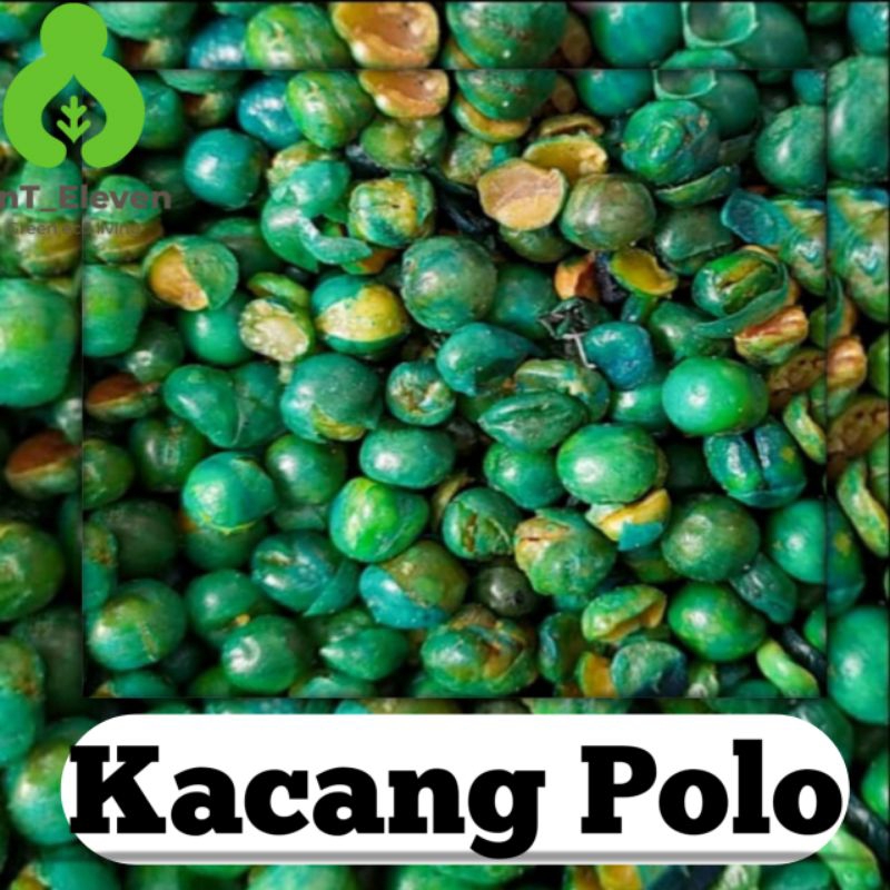 

Kacang Polong - Kacang Kapri Hijau (100gr)