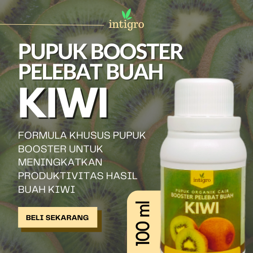 Pupuk Buah Kiwi Organik Cair Booster Kiwi Pupuk Booster Buah Kiwi Pemicu Kiwi Cepat Berbuah