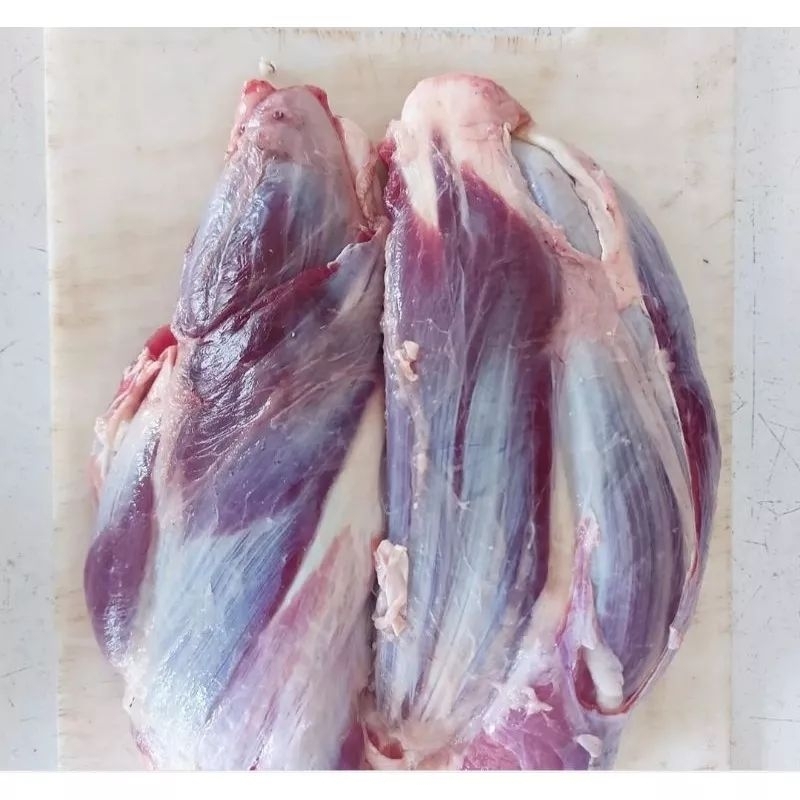 

sengkel kembang fresh