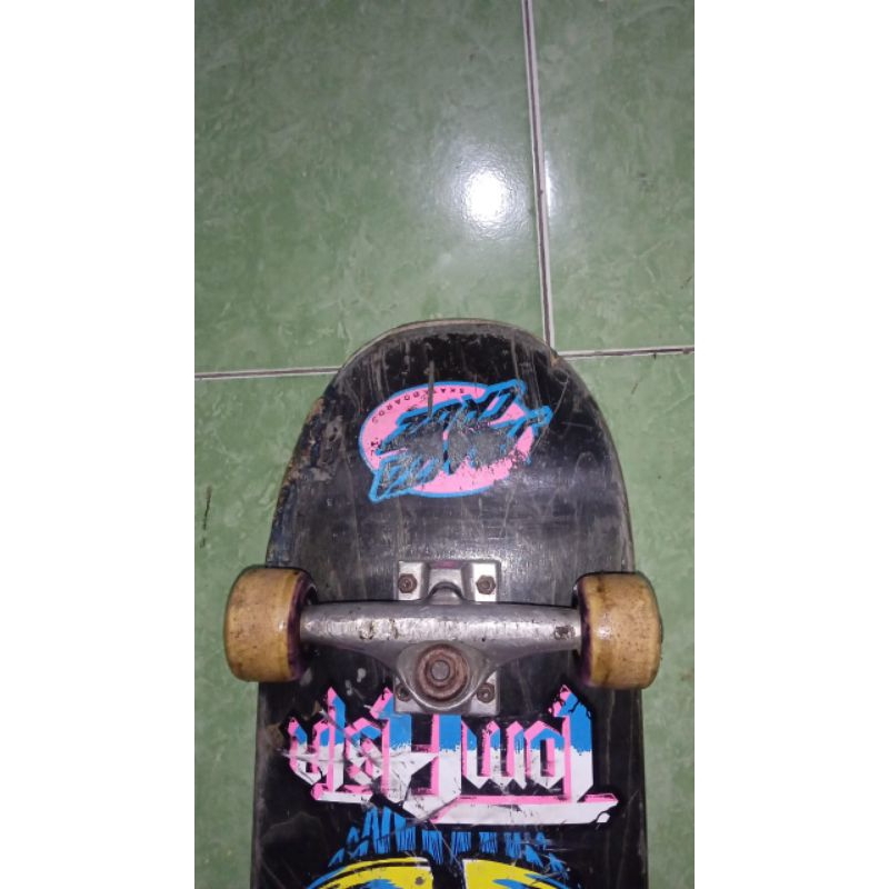 skateboard fullset Santa Cruz element
