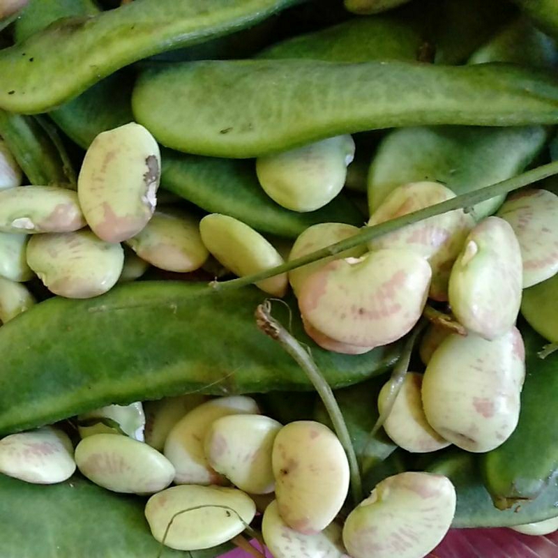 

SAYUR KACANG KORO SEGAR