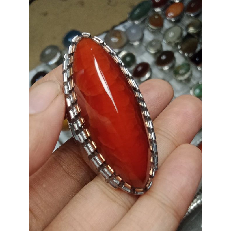 pandan merah sisik betok