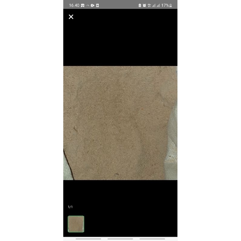 DEDAK KASAR (AYAM, BEBEK , DLL)