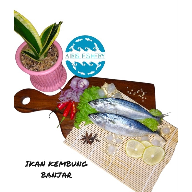 

Ikan Kembung Banjar / Premium