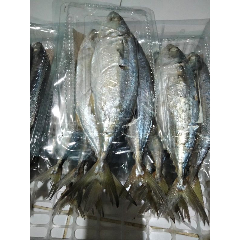 

ikan kembung Rebus medan