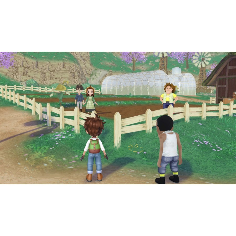 Nintendo Switch Harvest Moon Story of Seasons A Wonderful Life