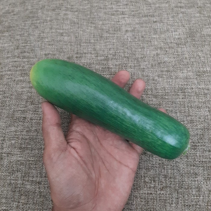 Mentimun palsu timun tiruan pajangan sayuran hias buatan Bonteng artificial sayuran imitasi buatan cucumber pajangan hiasan